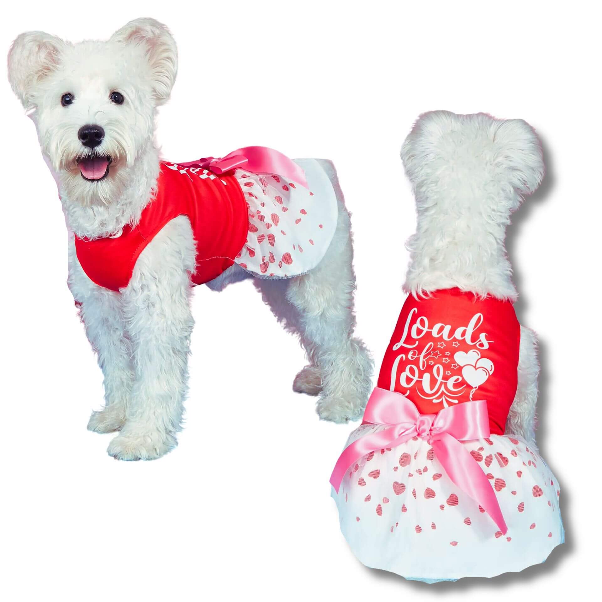 loads of love doggie dress