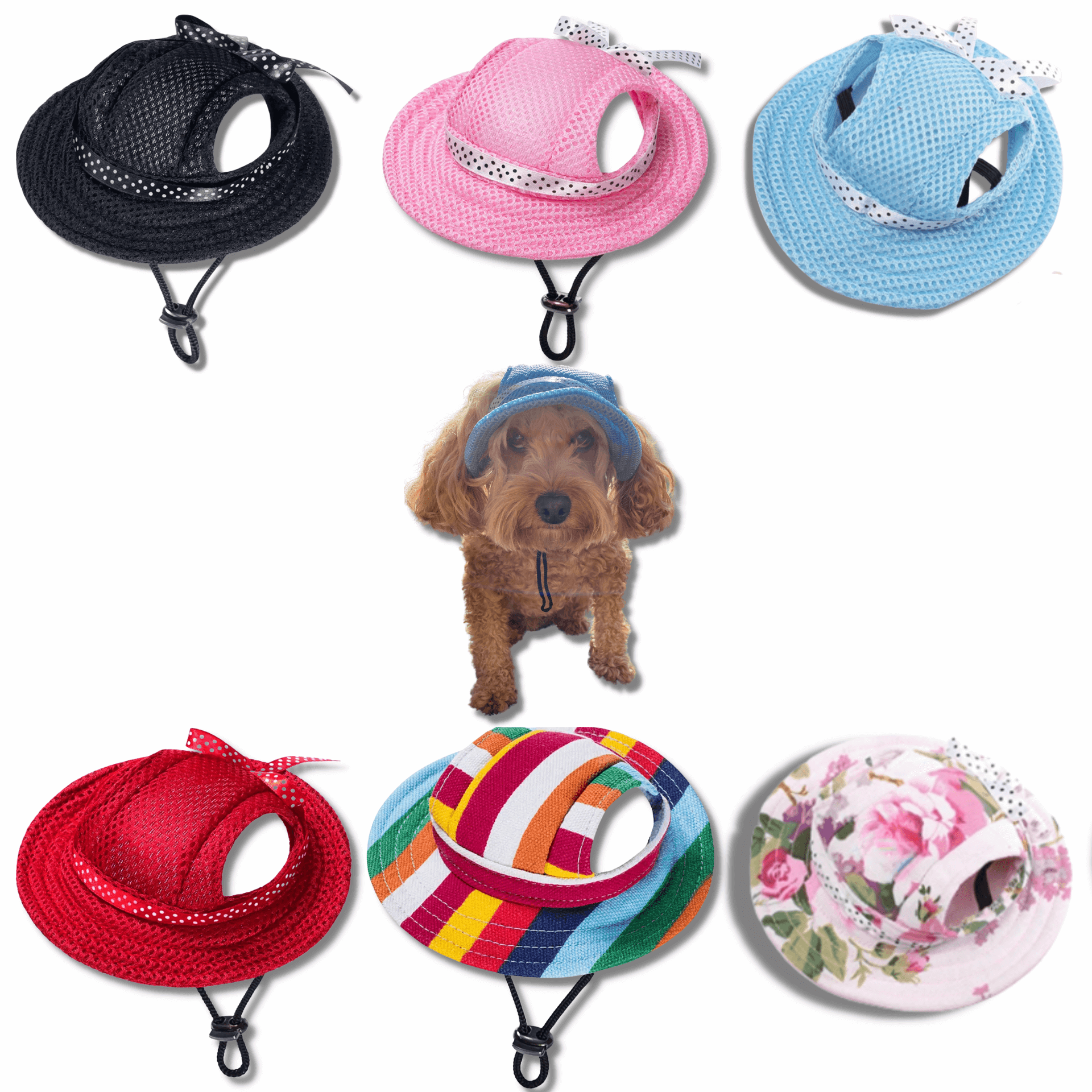 Fashion Dog Hats Shop Online Let s Pawty Australia