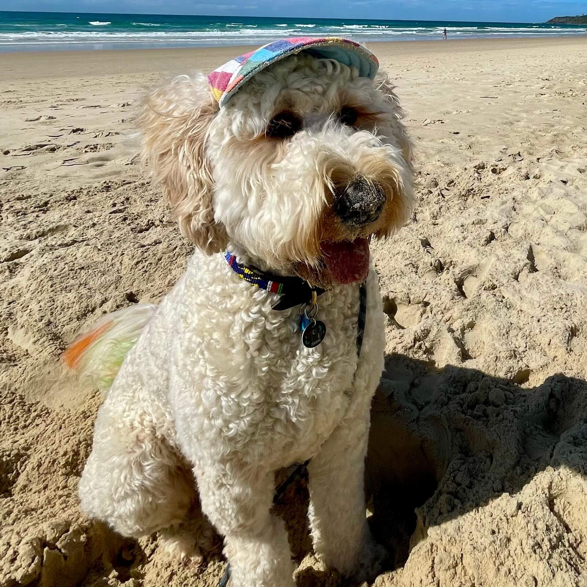 sun hat let's pawty, full brim, Mardi Gras, pride 