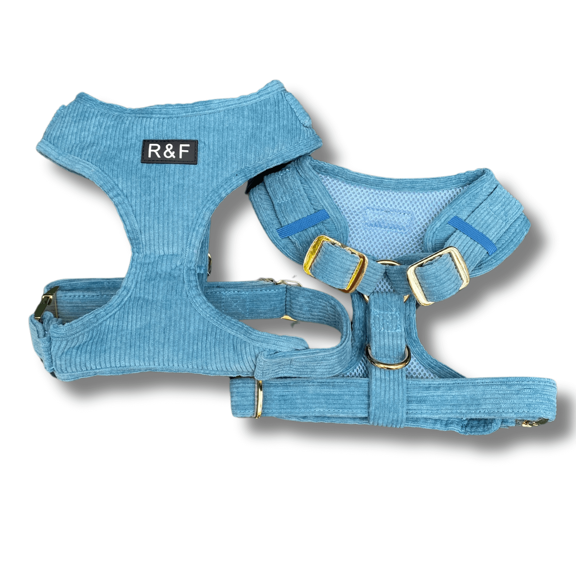 ocean blue, dog harness, poop bag holder, let's pawty