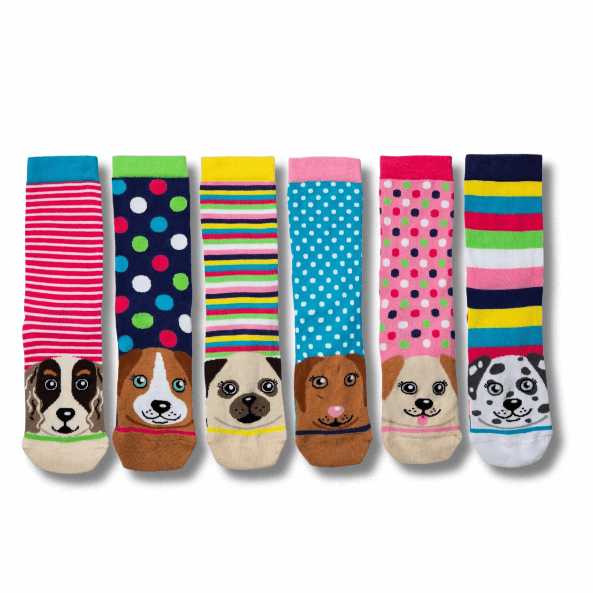 Pawsome Oddsocks, Let's Pawty pack of dog themed socks