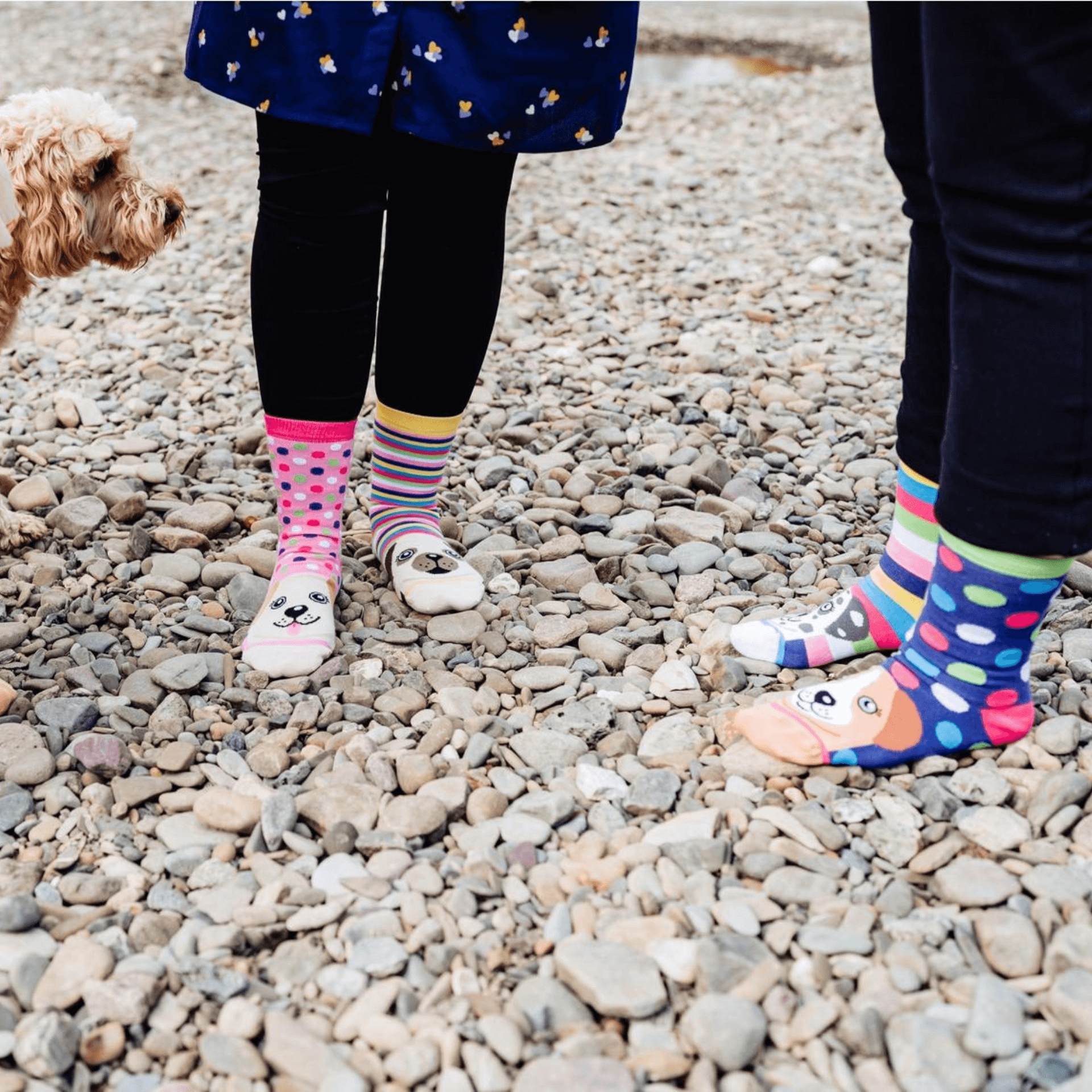 Pawsome Oddsocks, Let's Pawty pack of dog themed socks