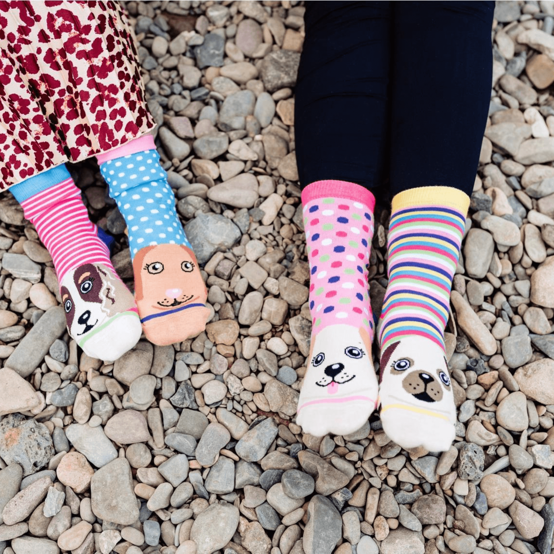 Pawsome Oddsocks, Let's Pawty pack of dog themed socks