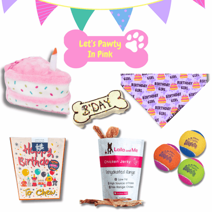 "Let's Pawty in Pink" Birthday Cake Dog Birthday Box