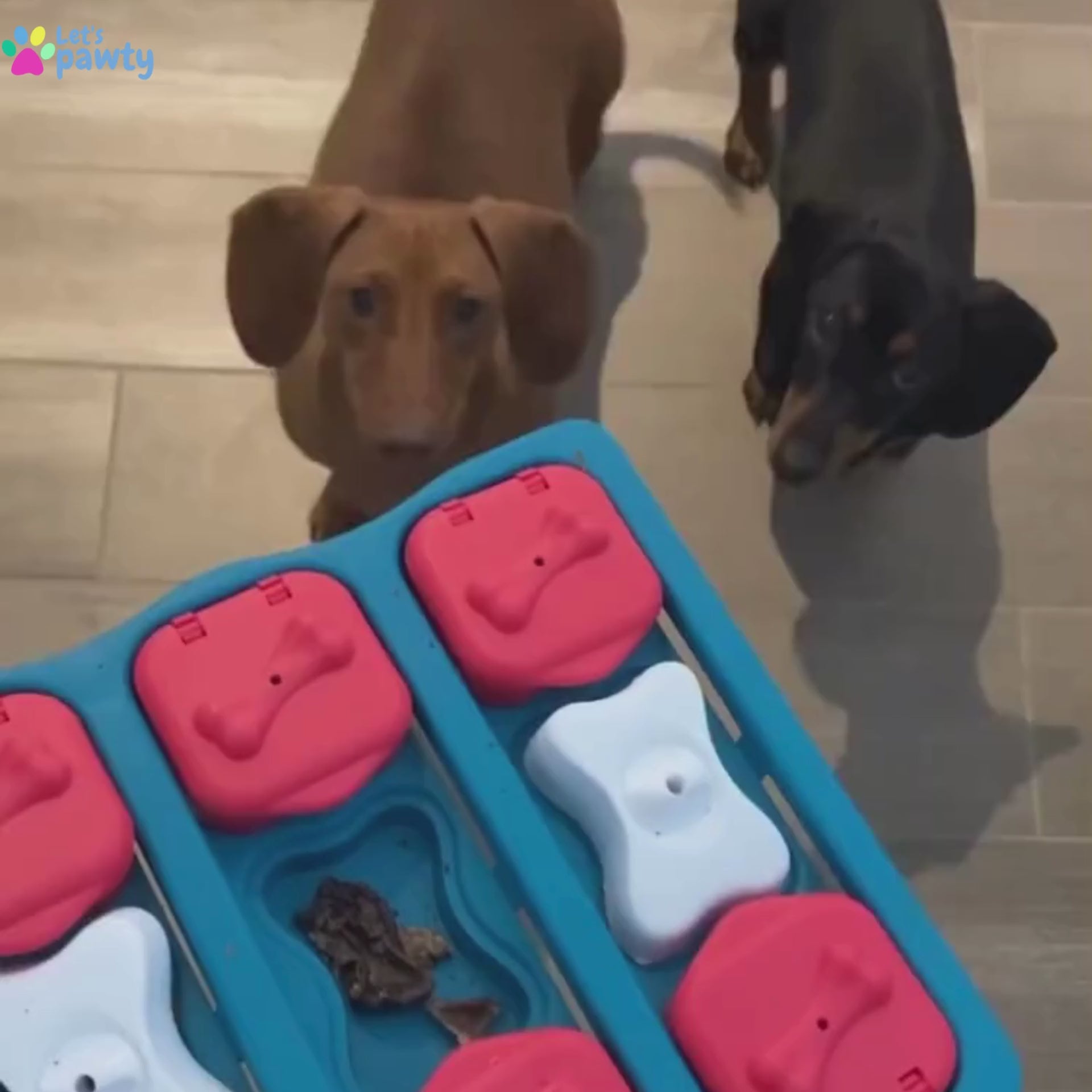 let's pawty dog brick puzzle enrichment dog toy