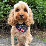 Black love is love dog bandana, tie up Mardi Gras, or Pride