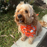 Halloween themed dog bandana, let's pawty 