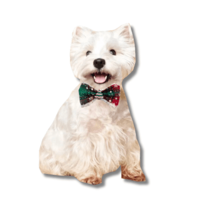 Dog bow over the collar accessory red and green plaid, let's pawty 