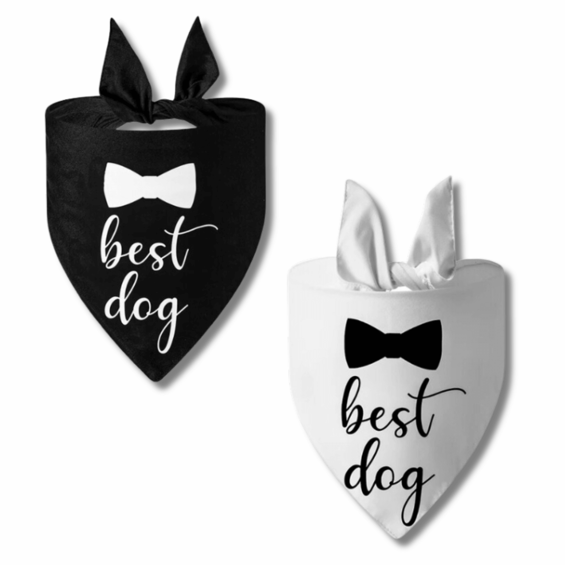 wedding best dog fashion accessory let's pawty , black or white