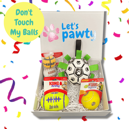 Dog lovers ball, interactive dog toy, fetch ball, sport ball, dog gift box, let's pawty