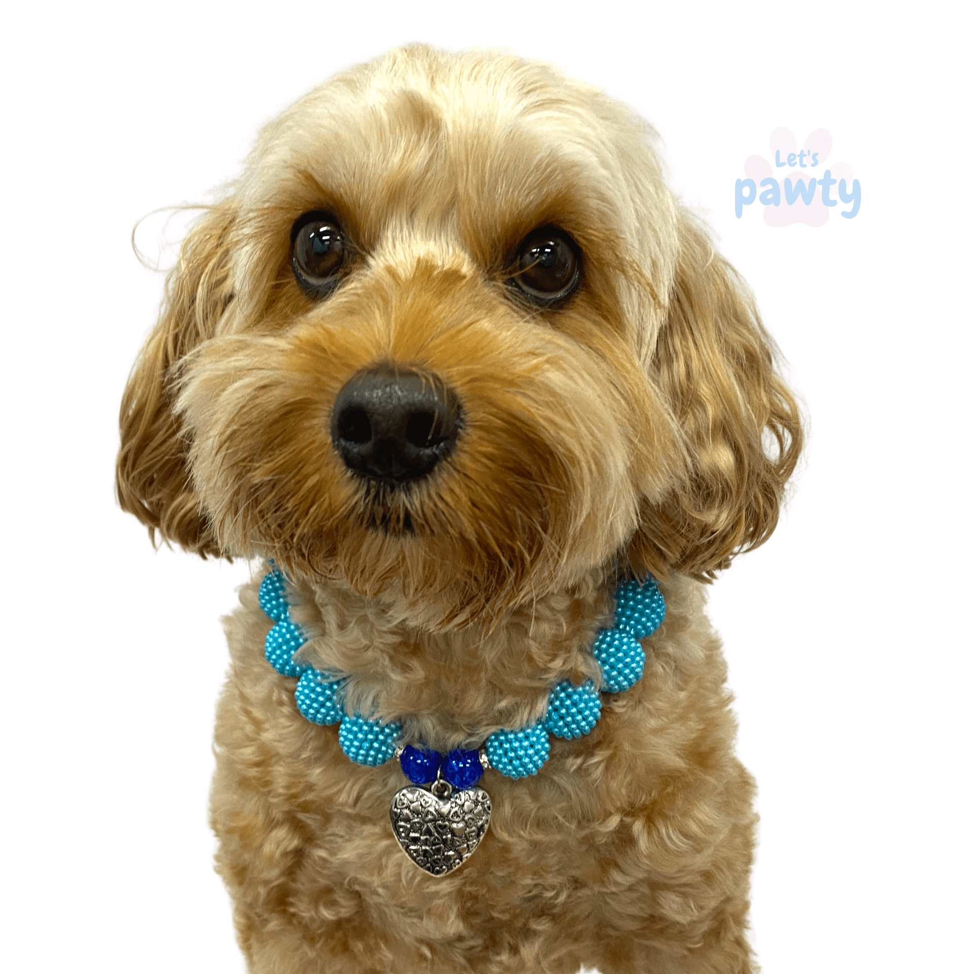 Beaded dog jewellery fashion accessory 