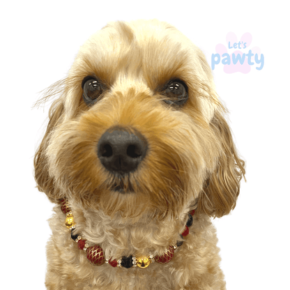 beaded dog jewellery necklace, fashion accessory let's pawty