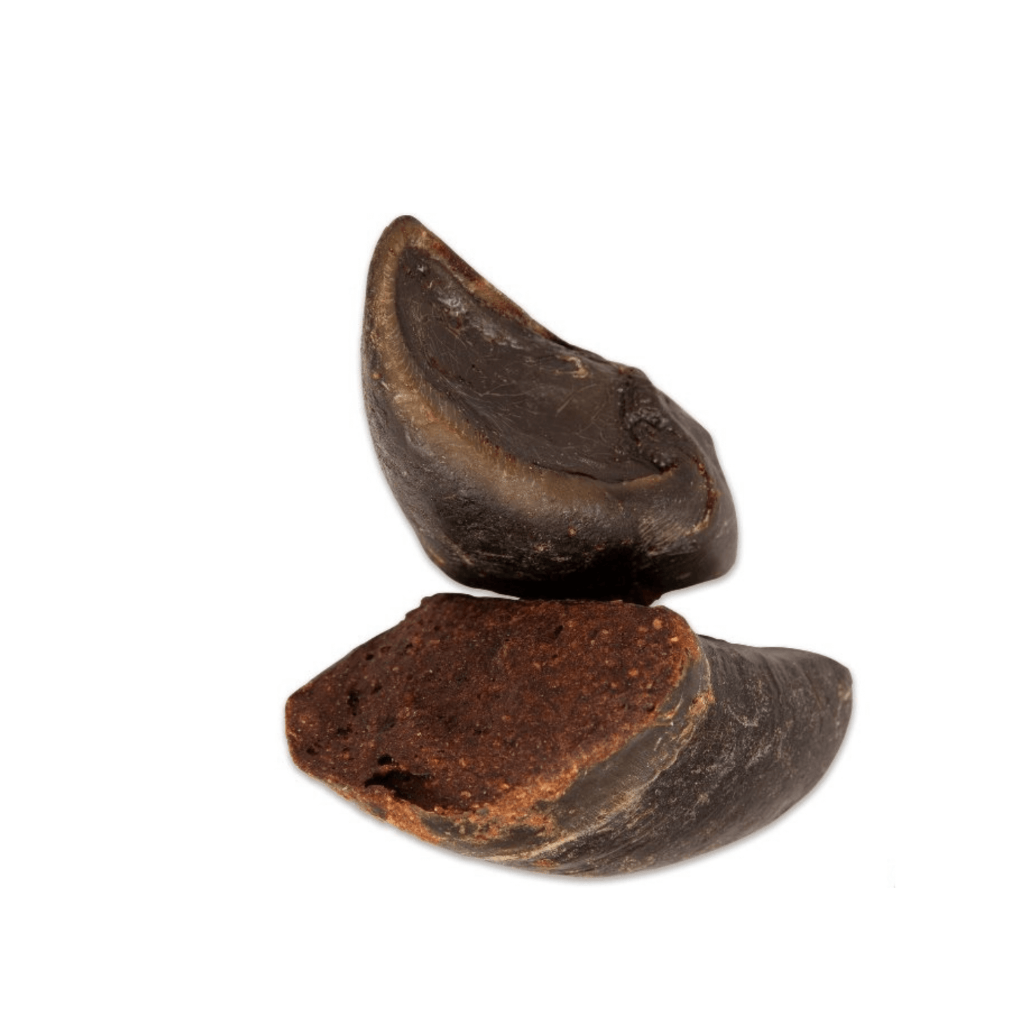 Balanced Life beef hoof filled with roo, healthy dog treat, Let's Pawty, long lasting chew