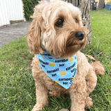 Reversible dog bandana, let's pawty, over the collar bandana