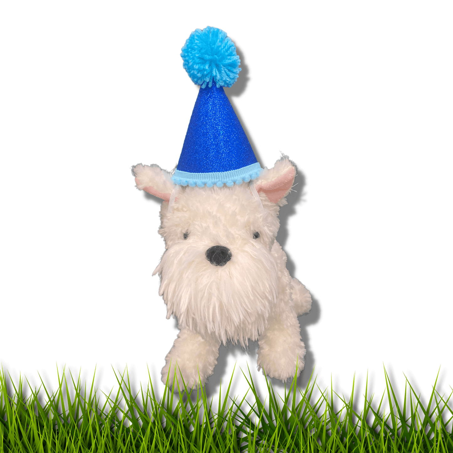 Dog party hat crown, let's pawty fashion accessory