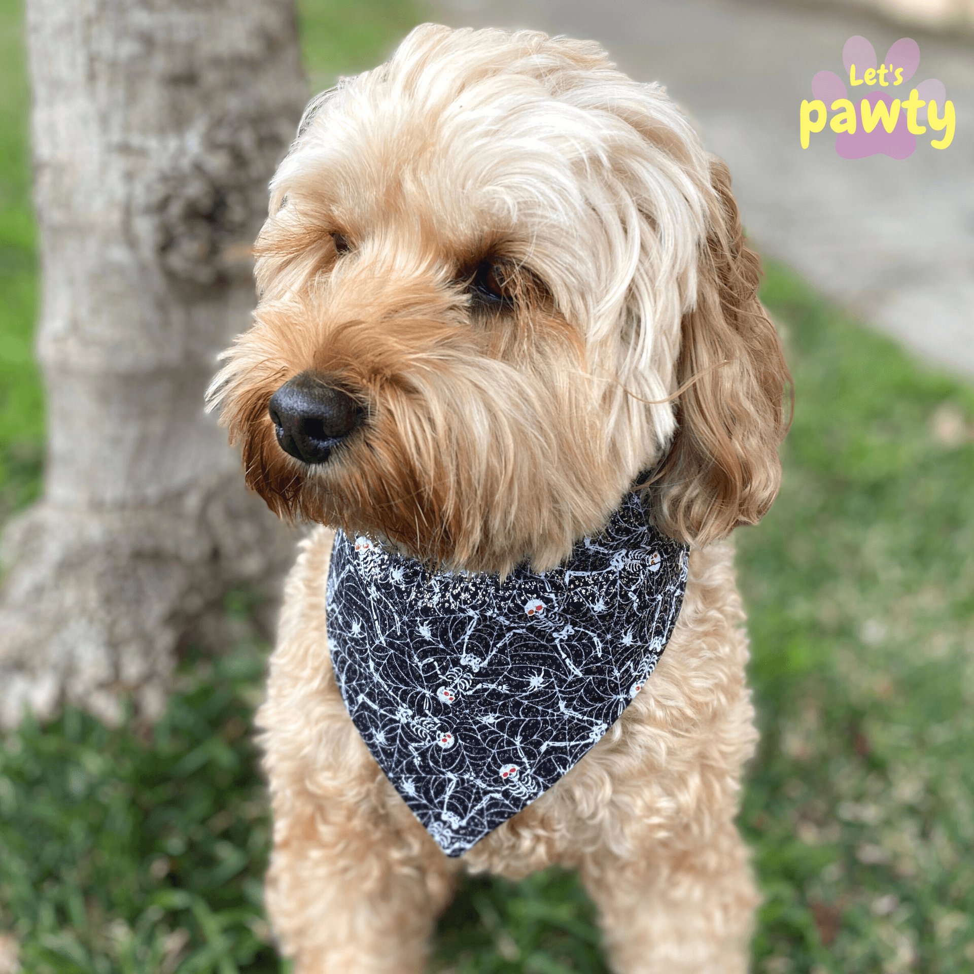 Halloween reversible dog bandana, let's  pawty