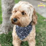 Halloween reversible dog bandana, let's  pawty