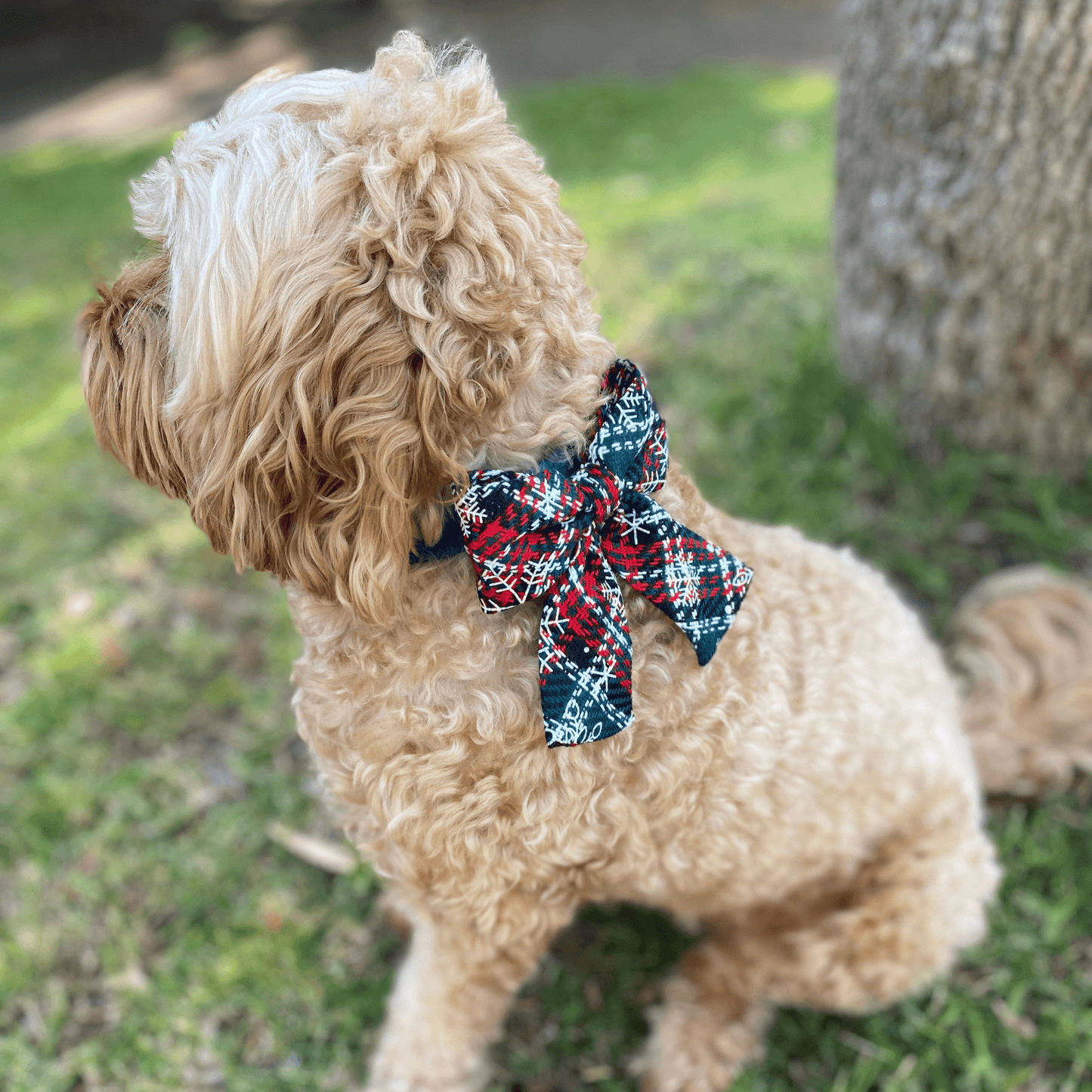 Christmas themed dog bow, let's pawty dog accessory