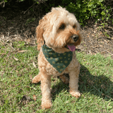 Christmas themed, Reversible dog bandana, let's pawty 