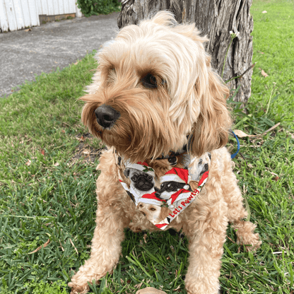 Christmas themed reversible dog bandana, fashion dog accessory 