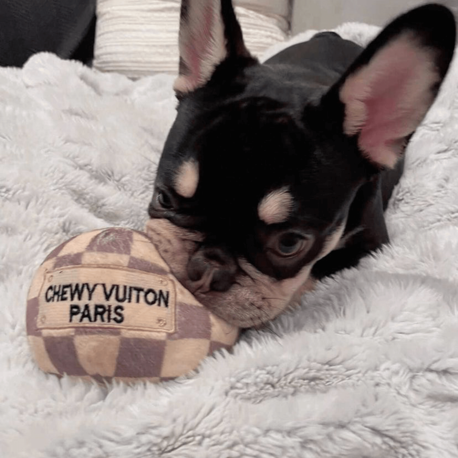 let's pawty designer dog toy, chew vuiton ball