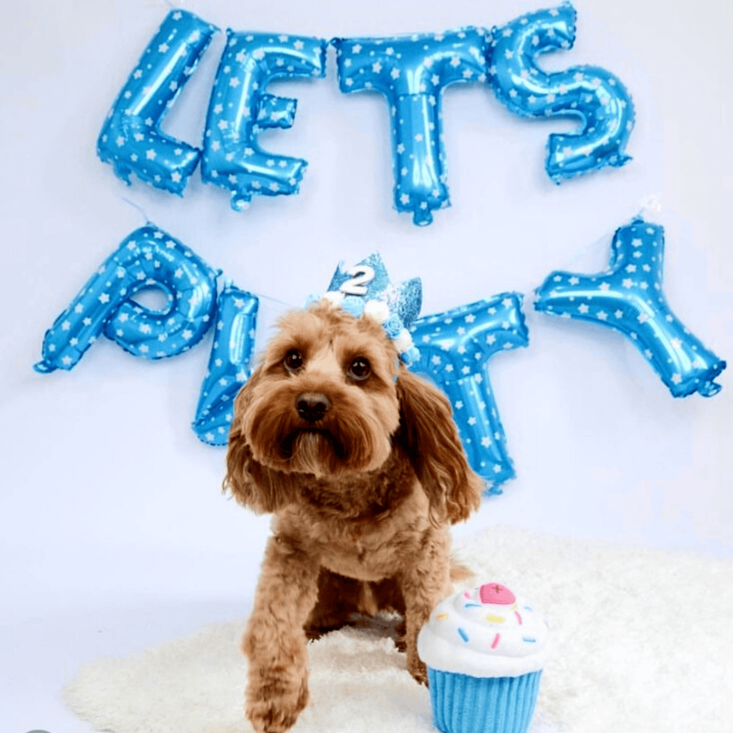 cupcake dog toy in blue Let's Pawty   