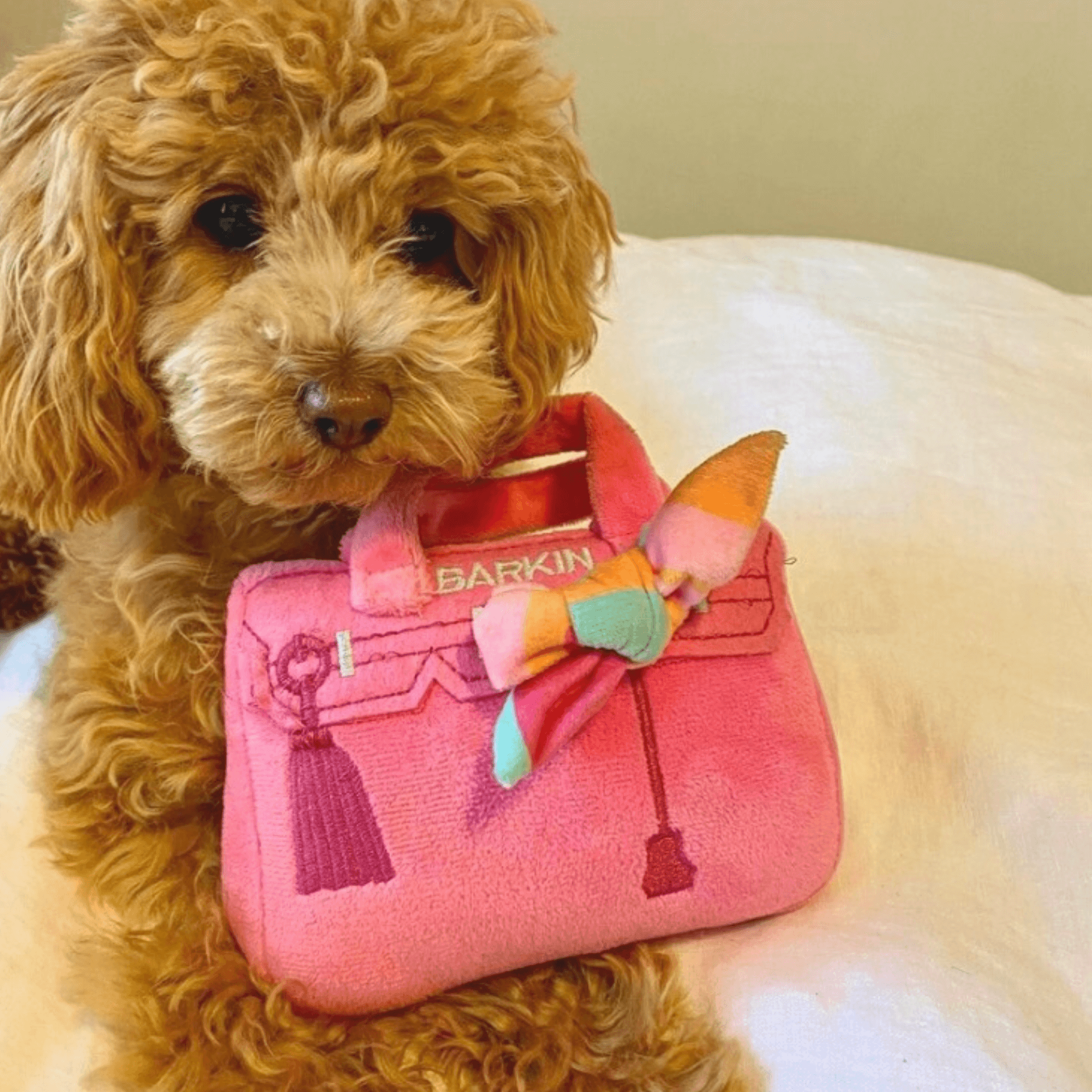 Barkin Bag - Pink w/ Scarf Dog Toy