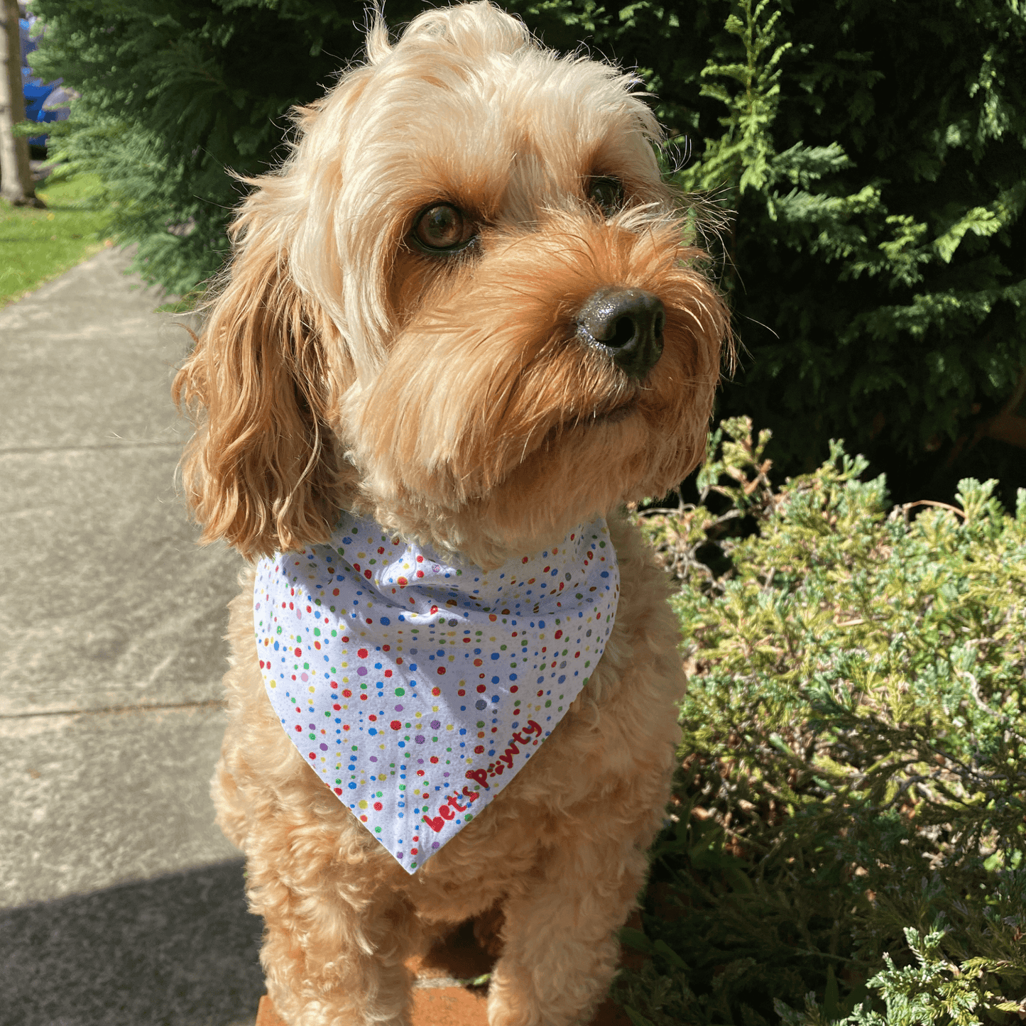 dot and spots reversible dog bandana, let's pawty, handmade