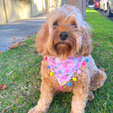 reversible bunny easter themed dog bandana, handmade, let's pawty