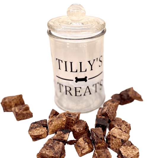 Glass jar dog treat container for your pooch's favourite treats