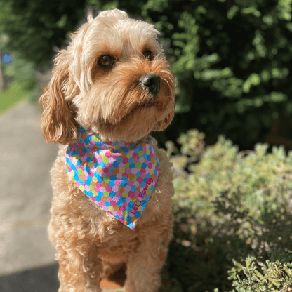 Glitter Dots Reversible Dog Bandana