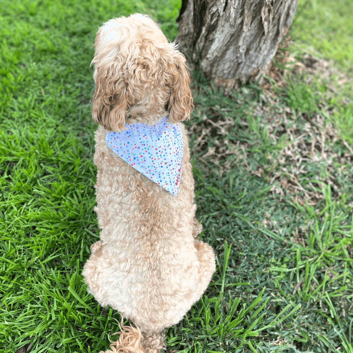 dot and spots reversible dog bandana, let's pawty, handmade