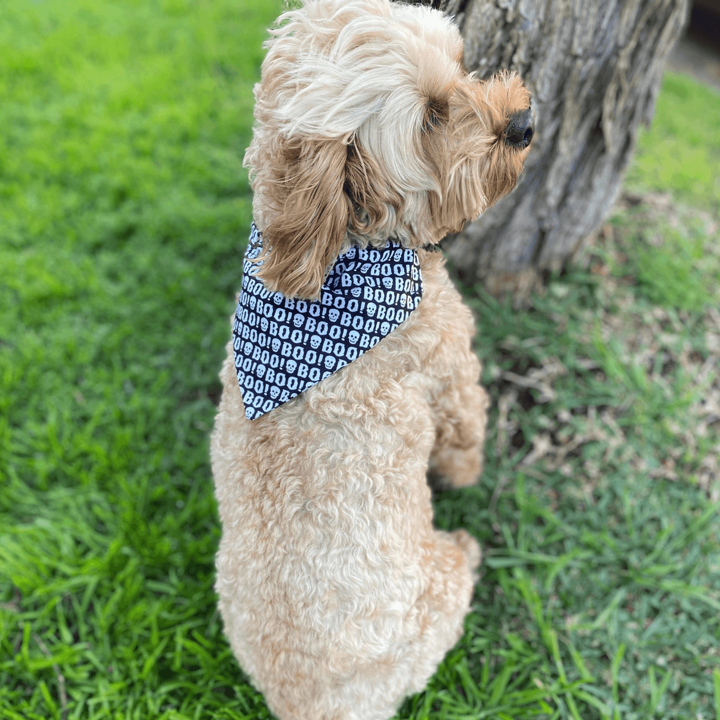 halloween themed, dog reversible bandana, handmade, let's pawty 