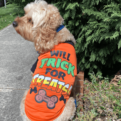 Halloween themed dog t-shirt, dog clothing