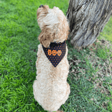 Reversible dog bandana Halloween inspired let's pawty Sydney