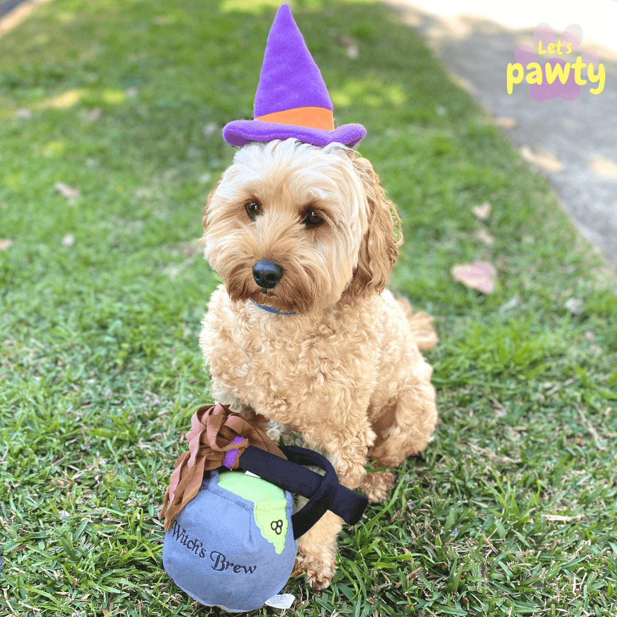 Halloween dog toy costume kit, let's pawty