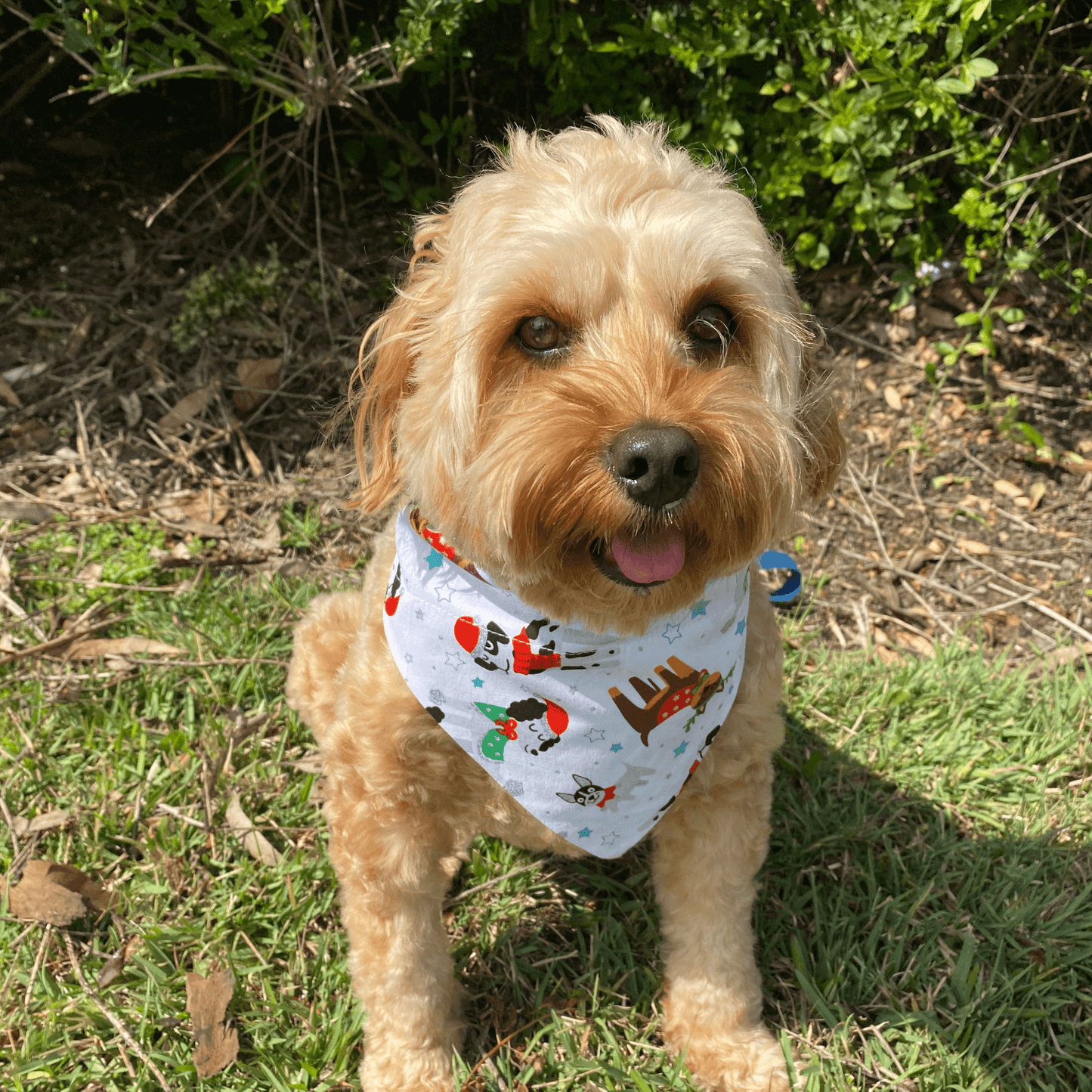 reversible christmas reindeer dog bandana Let's Pawty Sydney