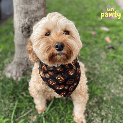 Halloween jack-o-lantern reversible dog bandanas