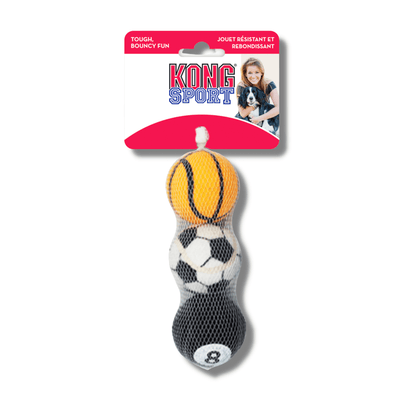 Sport kong fetch balls dog toy