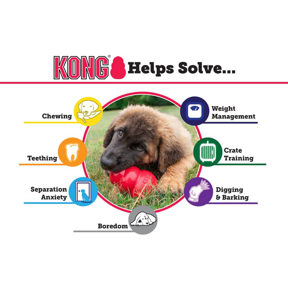 KONG Classic Red Medium for Dogs Shop Online Let s Pawty Australia