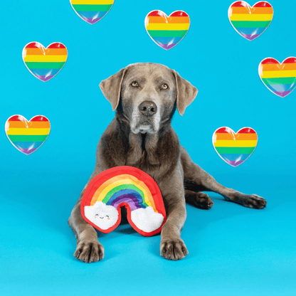 Rainbow Love Wins ~ Plush Dog Toy