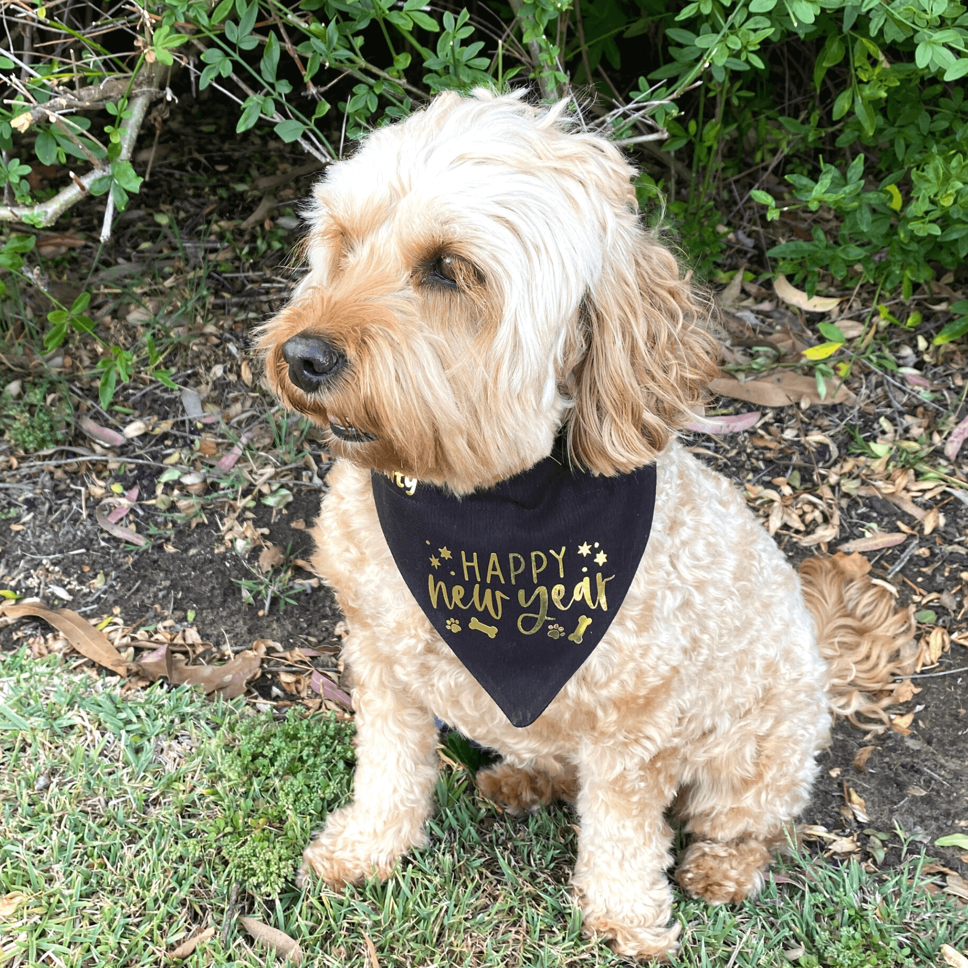 Happy New Year - Reversible Dog Bandana