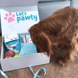 dog birthday birthday box, dog birthday box party gift boxes Let's Pawty Sydney