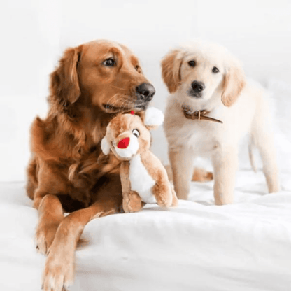 Christmas themed reindeer plush dog toy for your furbaby Let's Pawty