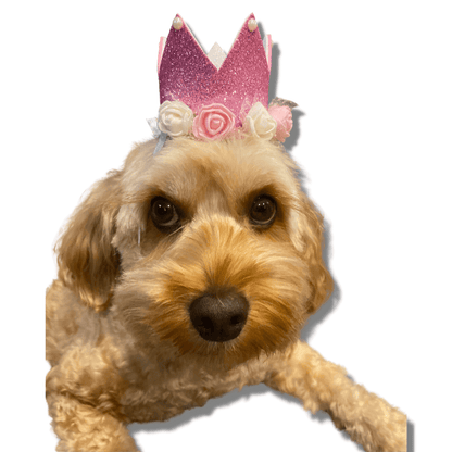Dog fashion pawty hat crown, let's pawty handmade
