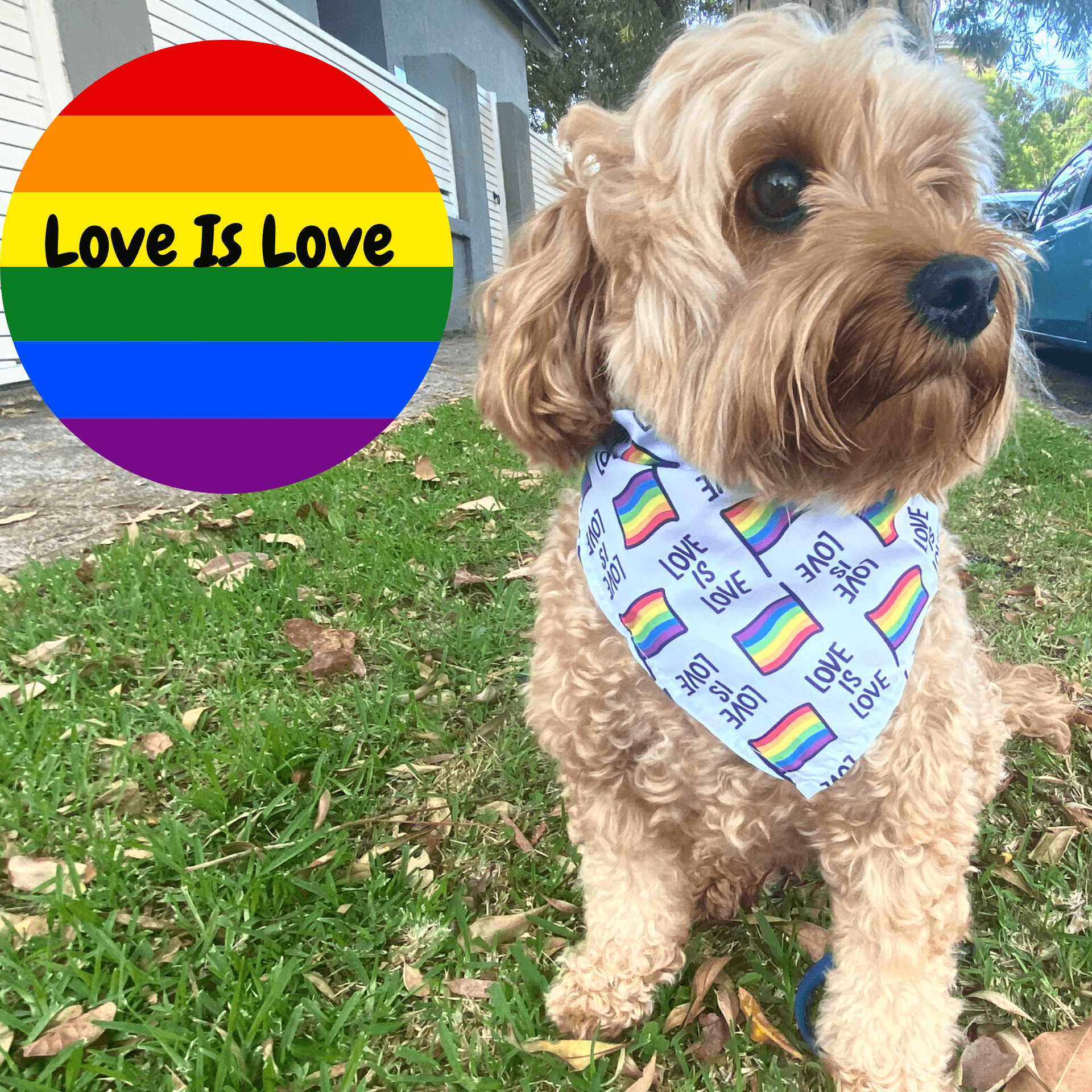 Love is love tie-up dog bandana fashion dog accessory, let's pawty