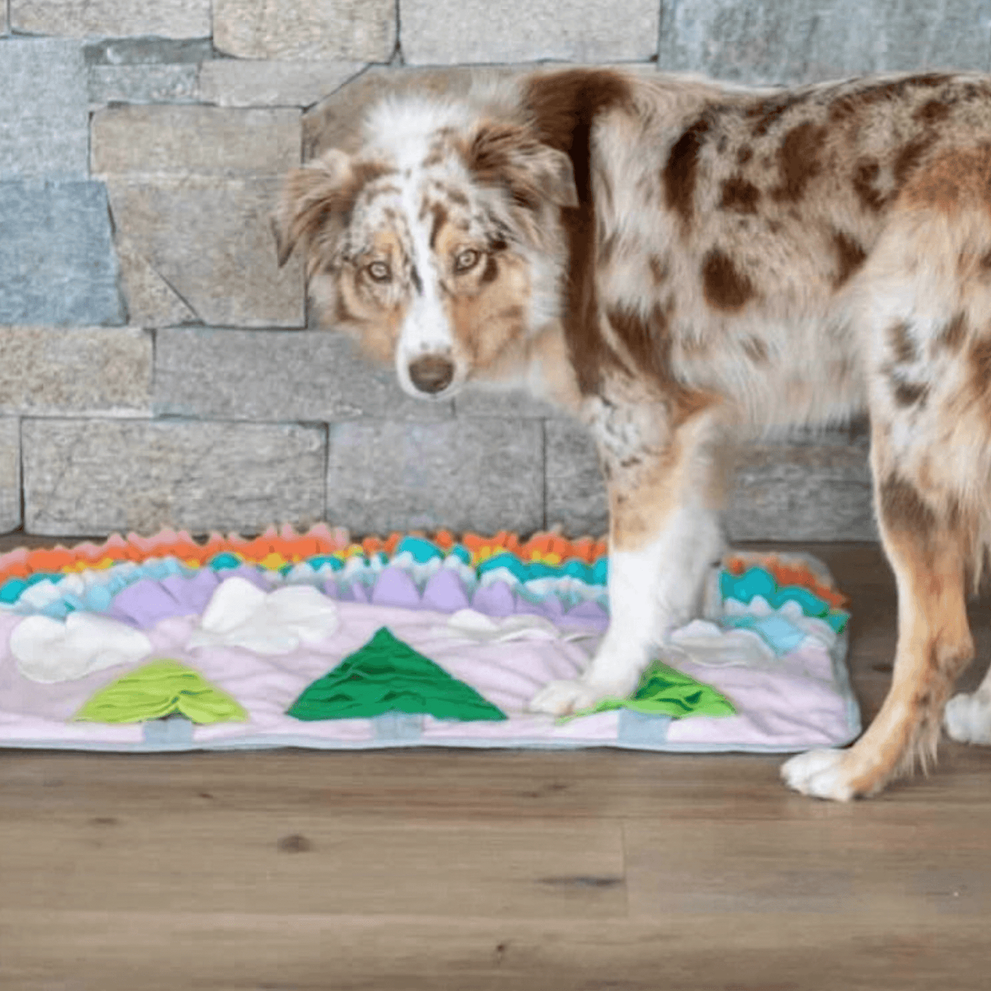 Dog Snuffle mat, treat dispensing products, boredom buster
