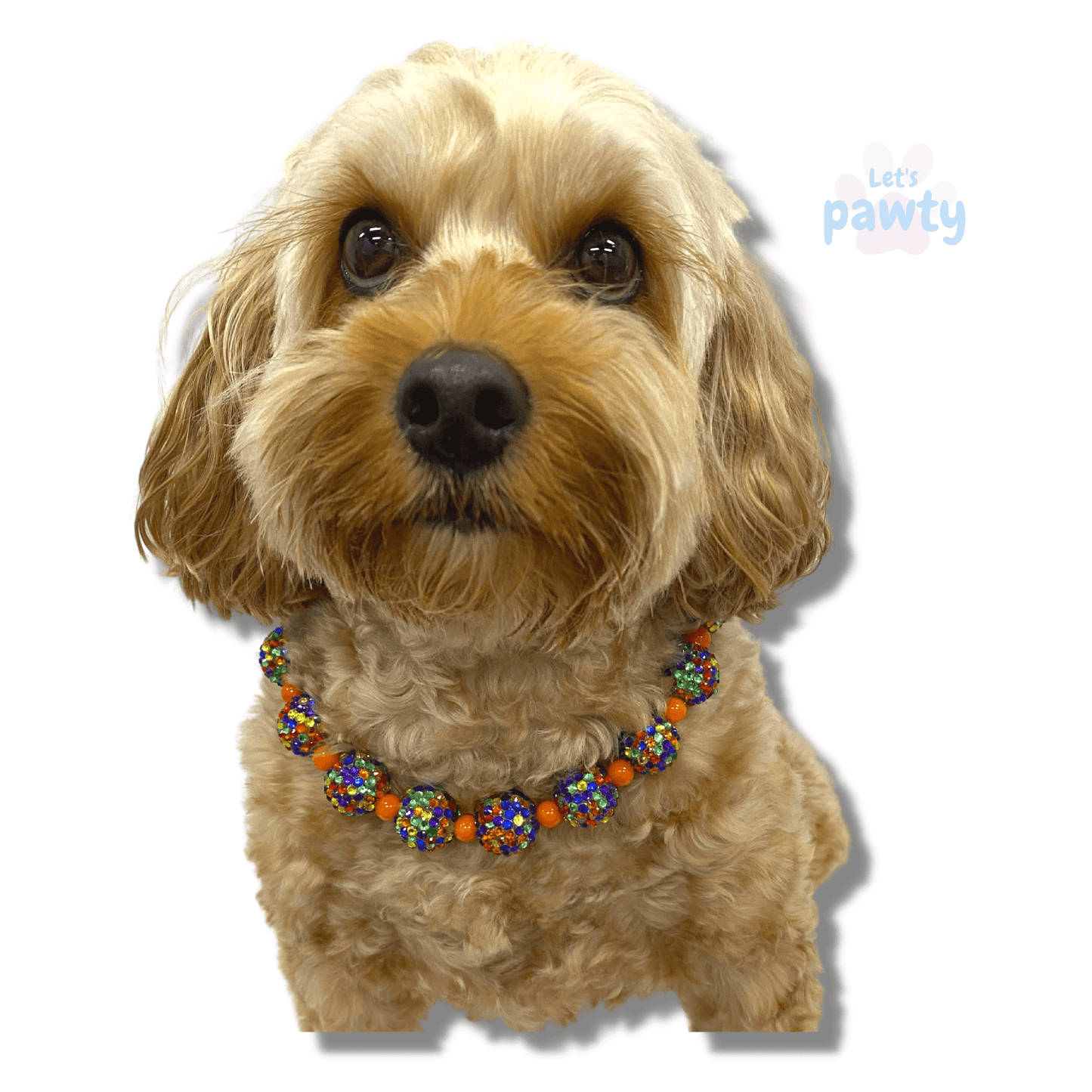 Rainbow dog jewellery fashion accessory let's pawty 