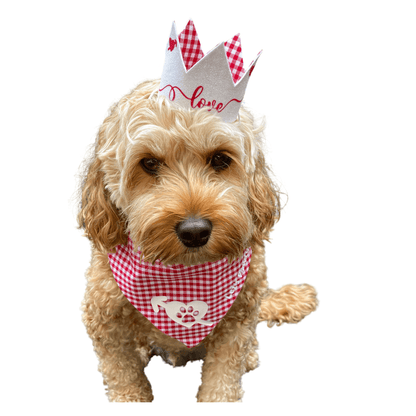 dog bandana clothing for your fur baby Let's Pawty Sydney
