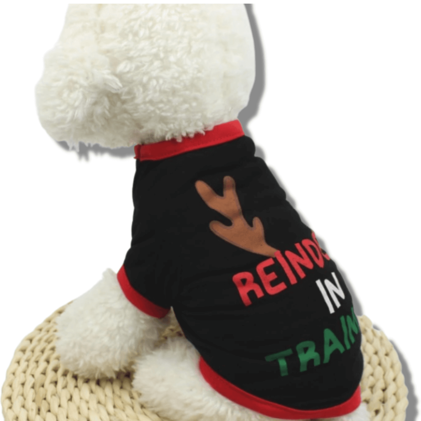 Reindeer in training dog tee shirt, fashion accessory, let's pawty